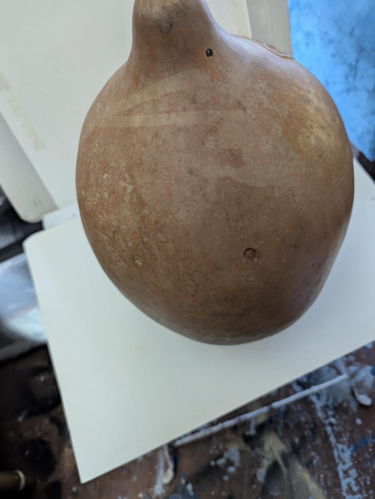 Grizzly Bear Carved Gourd: Handcrafted Rustic Nature Sculpture - The Relic Detail